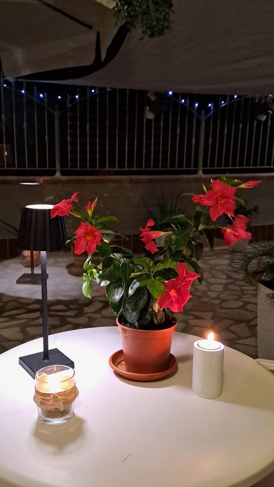 Tramonto Sul Mare Bed & Breakfast Termoli Ngoại thất bức ảnh